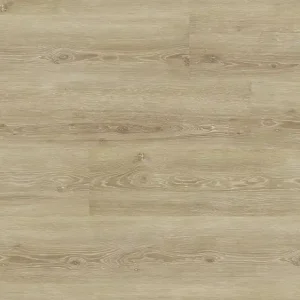 Meistverkauft JOKA Design 555 Dryback | 5308 Perfect Ivory Oak